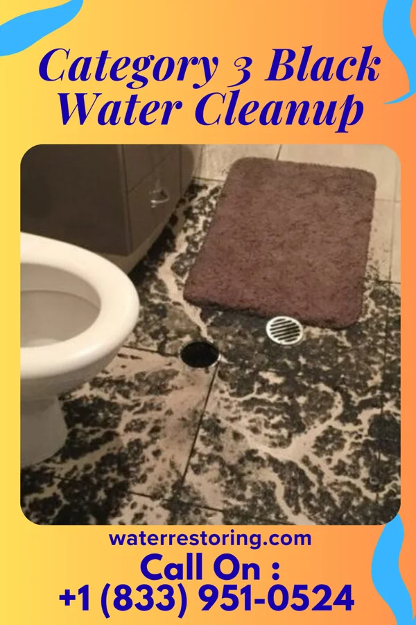 Category 3 Black Water Cleanup in Benton, KY